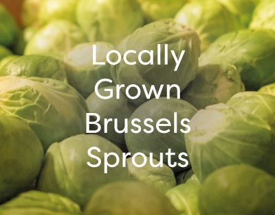 Locally Grown Sprouts
